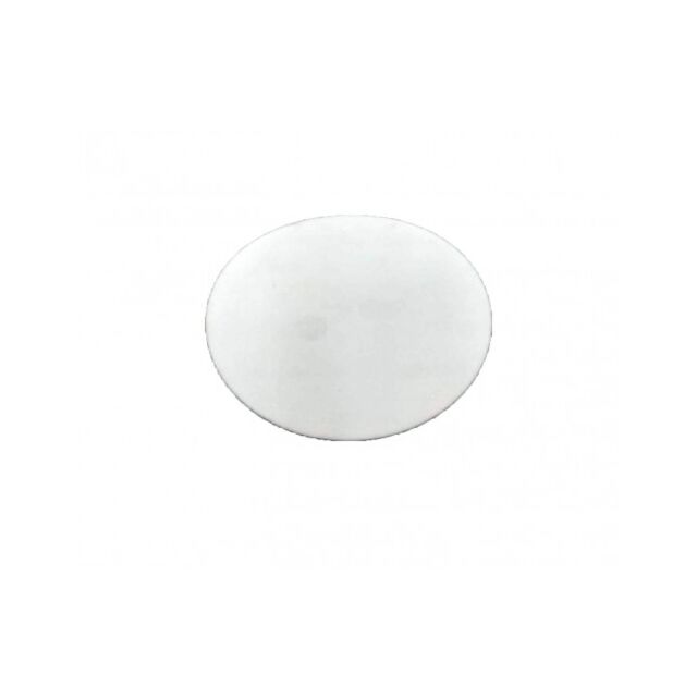 Blindmutter Dichtung nach DIN 11851 PTFE